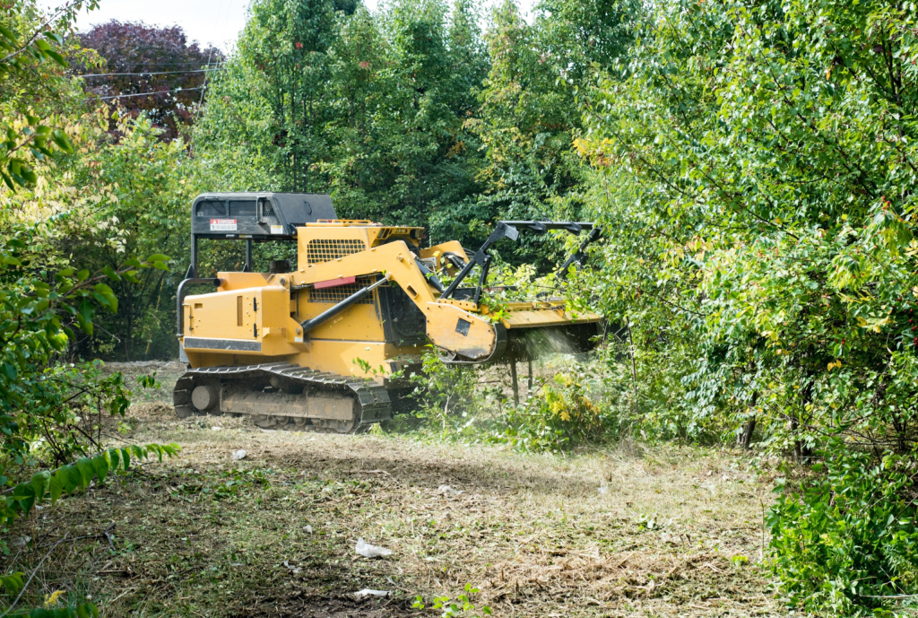 Effective Ways to Clear Land
