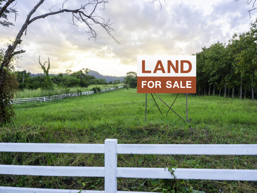 Why You Should Buy Land: Your Path to Freedom
